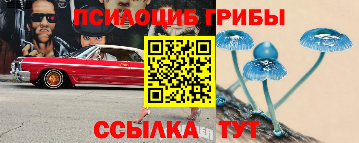 Псилоцибиновые грибы мухоморы  Галлюциногенные грибы прущие грибы  Магадан  Вход с VPN 